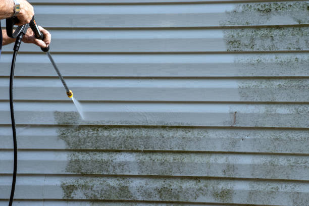 Best Siding for Commercial Buildings  in Dewey Humboldt, AZ