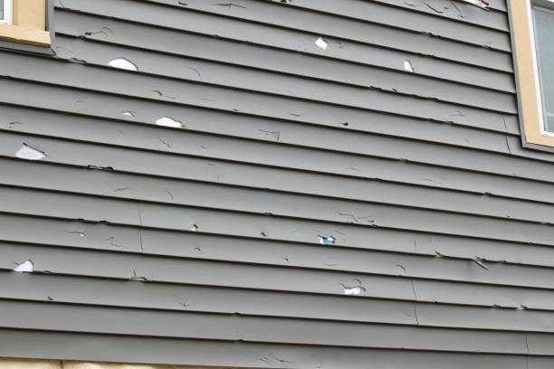 Siding for Commercial Buildings in Dewey Humboldt, AZ