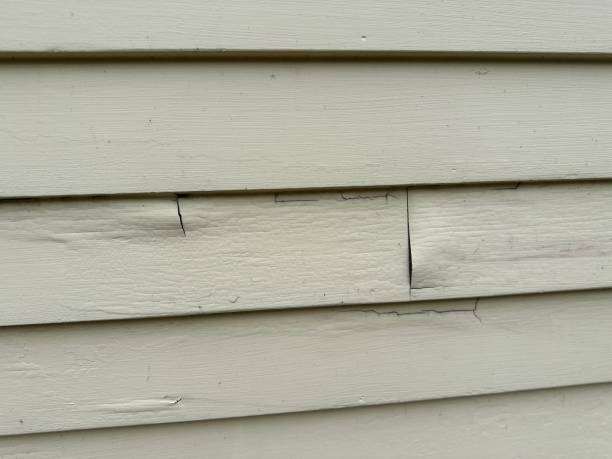 Best Insulated Siding Installation  in Dewey Humboldt, AZ